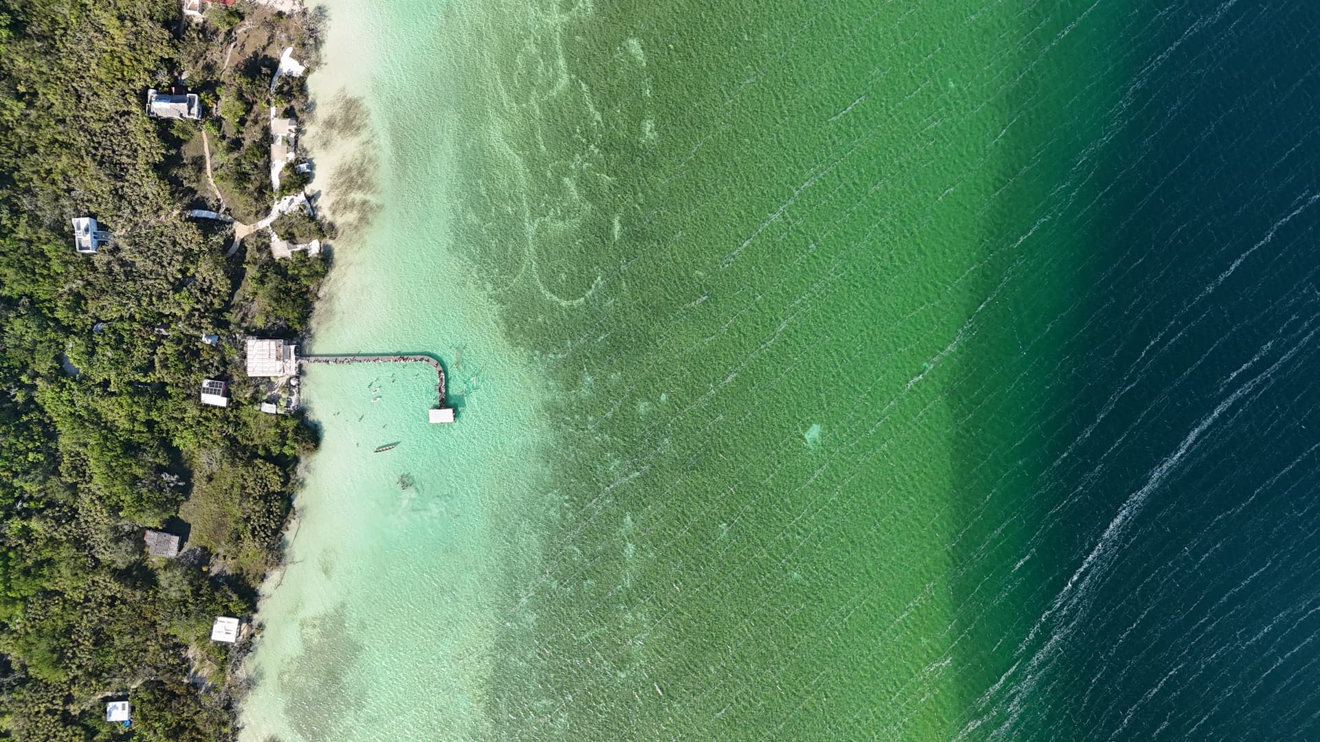 Paddleboarding near the central palapa