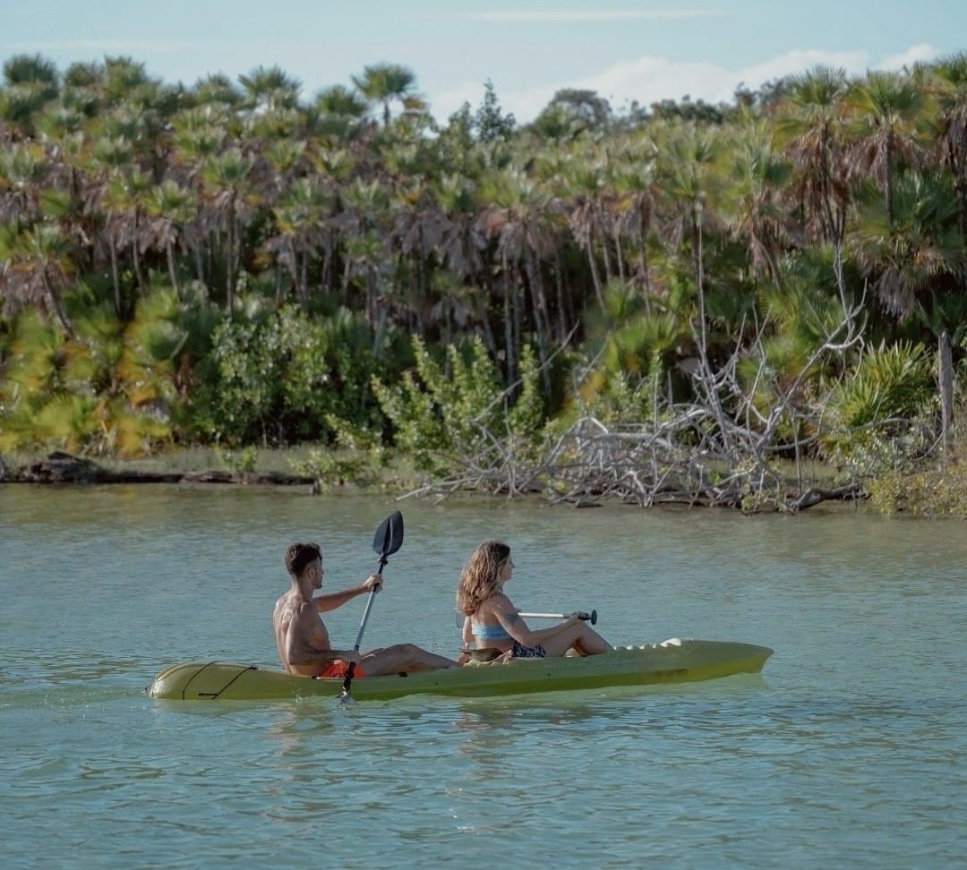 Kayaks